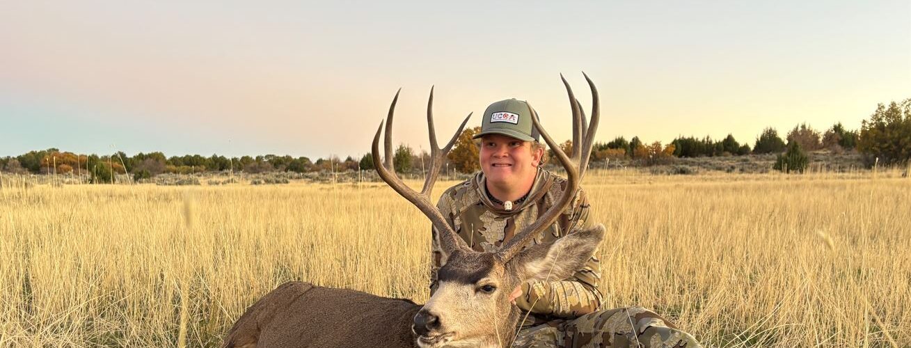 Kanon Utah Mule Deer