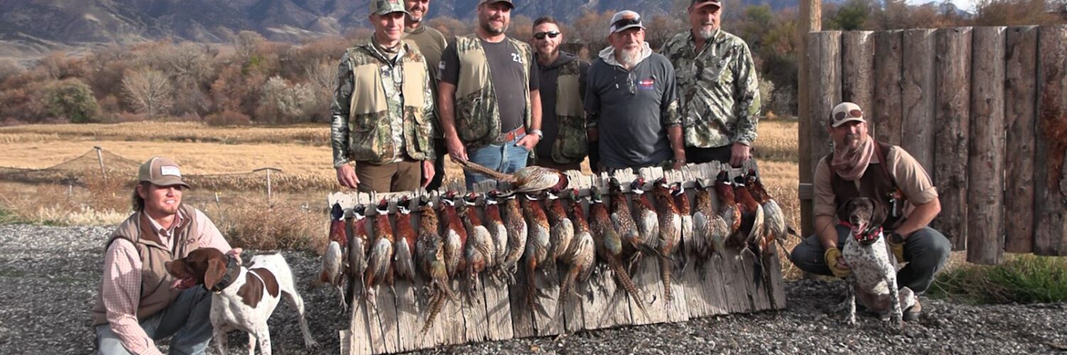 Hunts for the Brave Pheasant Hunt