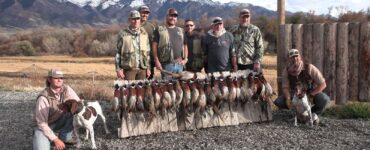 Hunts for the Brave Pheasant Hunt