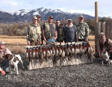 Hunts for the Brave Pheasant Hunt