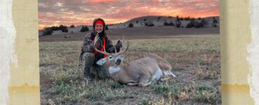 whitetail deer harvest