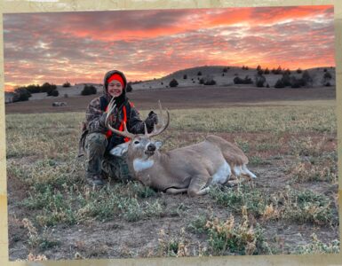 whitetail deer harvest