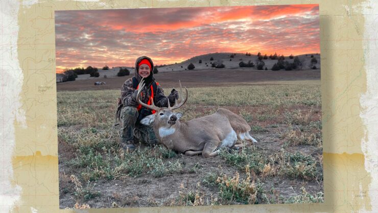 whitetail deer harvest