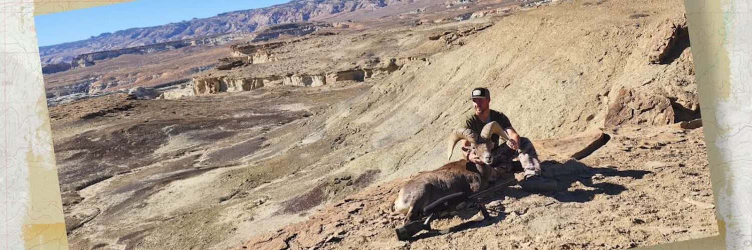 Bighorn Sheep Hunt