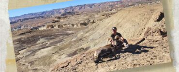 Bighorn Sheep Hunt