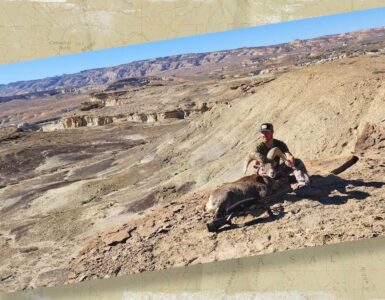 Bighorn Sheep Hunt