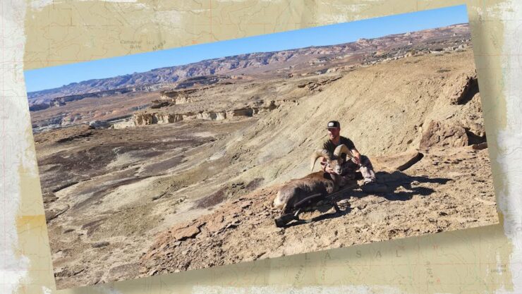 Bighorn Sheep Hunt