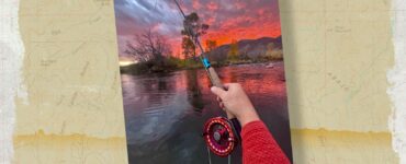 Snapshot of the Week: January 3, 2026