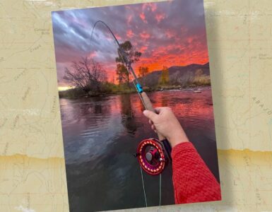 Snapshot of the Week: January 3, 2026