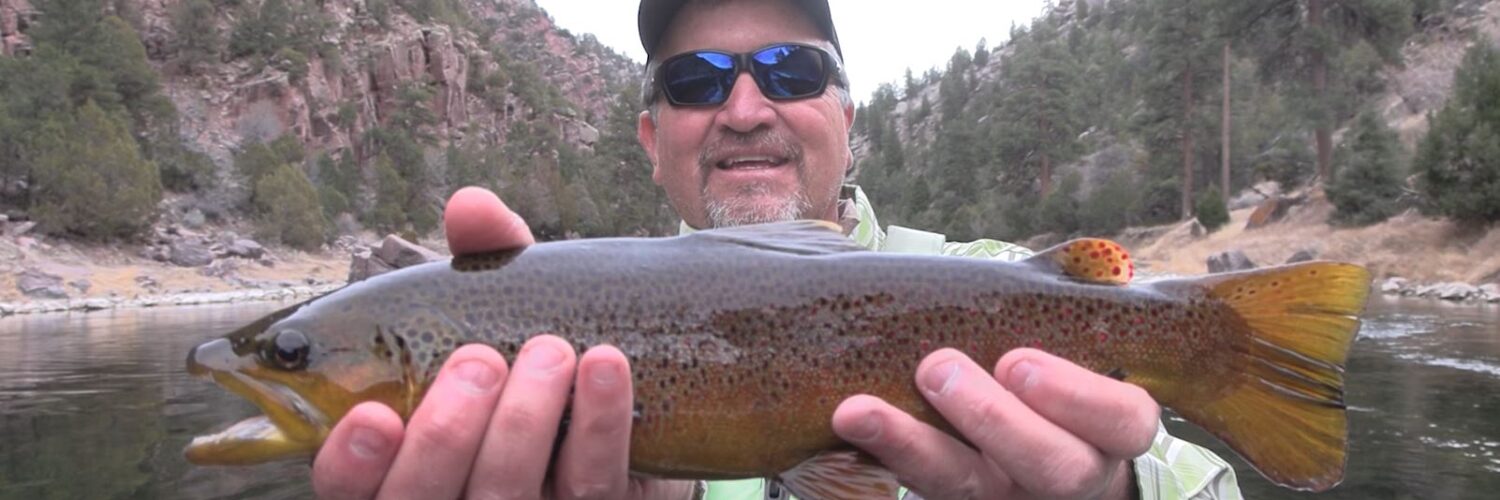 Green River Trout