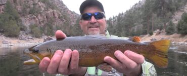 Green River Trout