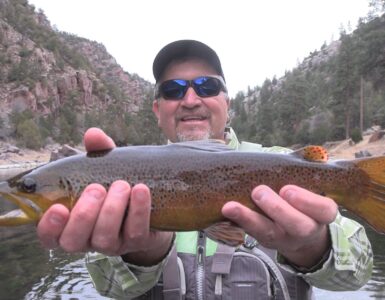 Green River Trout