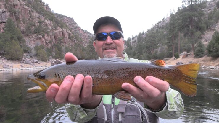 Green River Trout