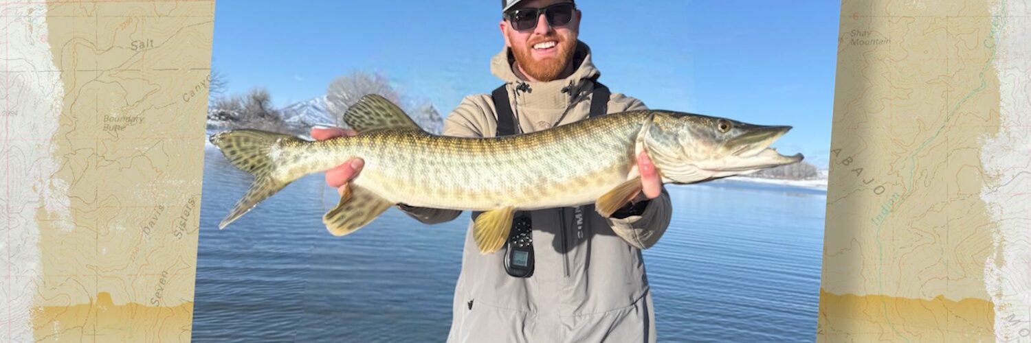 Tiger Muskie