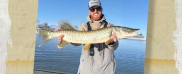 Tiger Muskie
