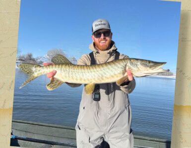 Tiger Muskie