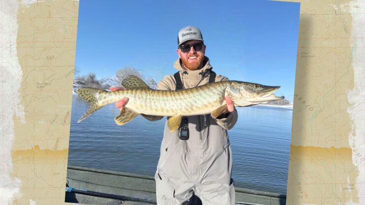 Tiger Muskie
