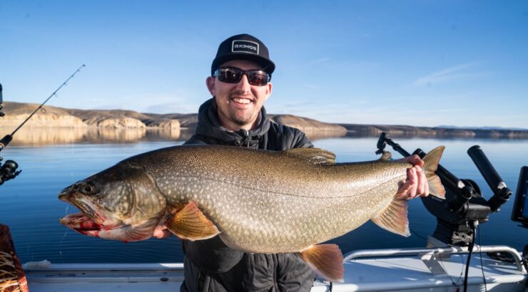 Flaming Gorge Trophy Lake Trout